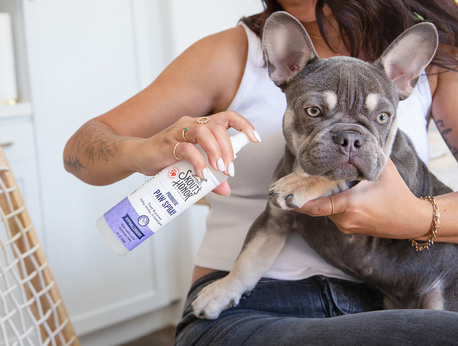 Essential Probiotics: Boost Your Frenchie's Gut Health & Immunity