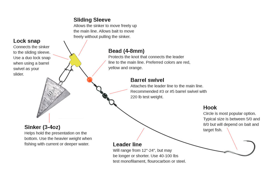 What Size Line for Surf Fishing: Reel in the Big Catch!