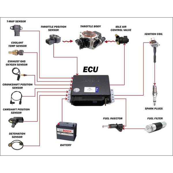 Lỗi bộ điều khiển ECU