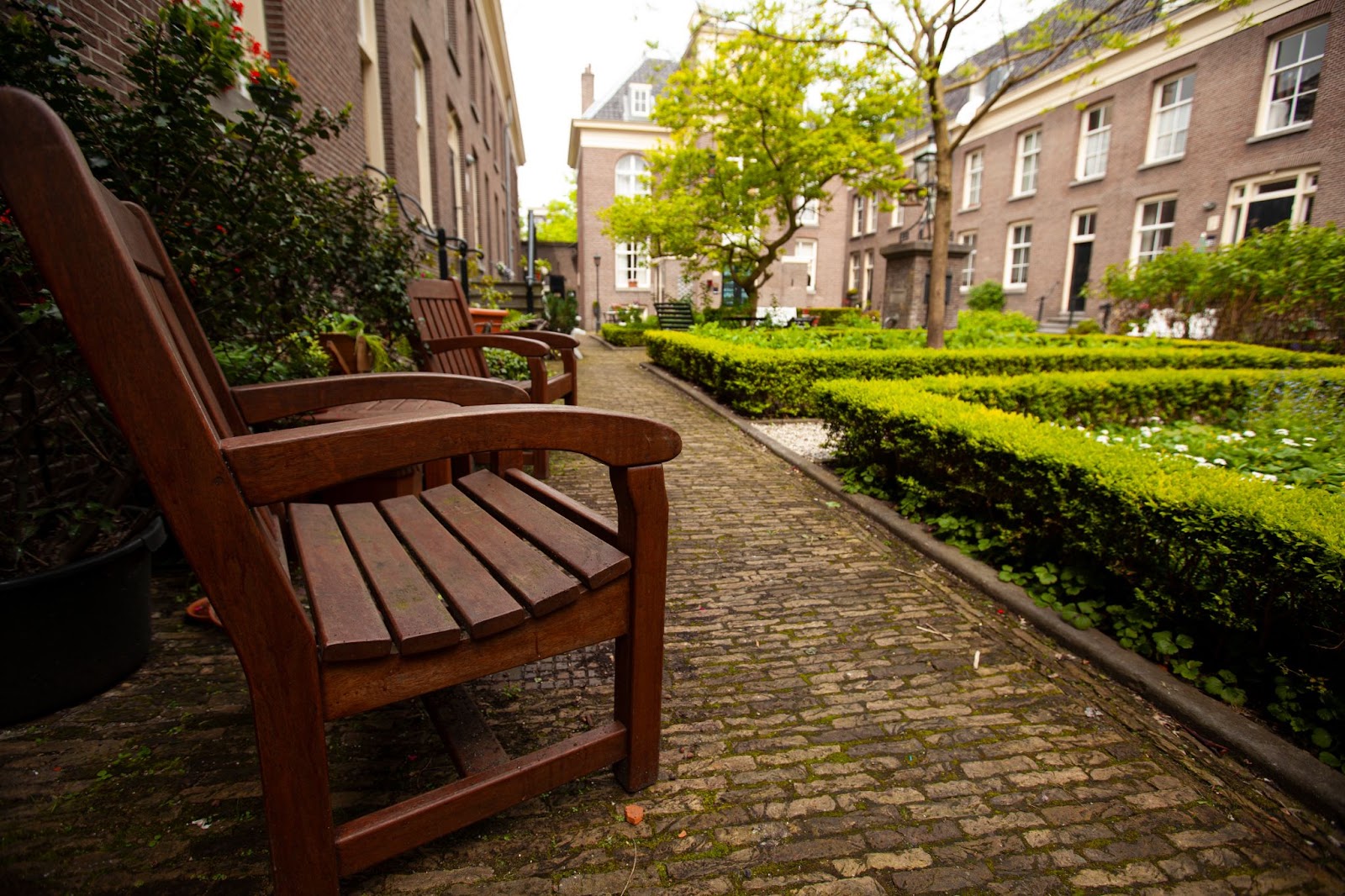 A beautiful view of a communal area outside at a senior living community with plants & seating areas.