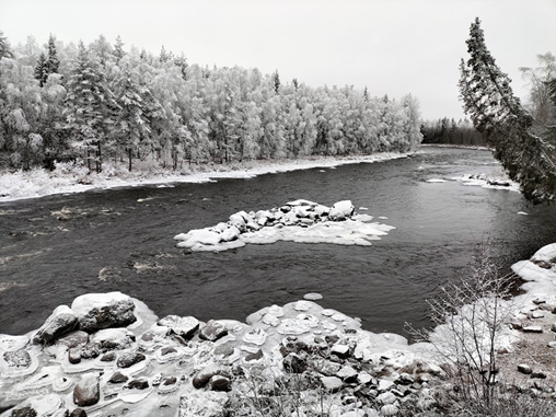 A glimpse of the river that runs through the town of Rovaniemi. In this photo you can see the river and on the sides the Lappish forest completely covered in snow.