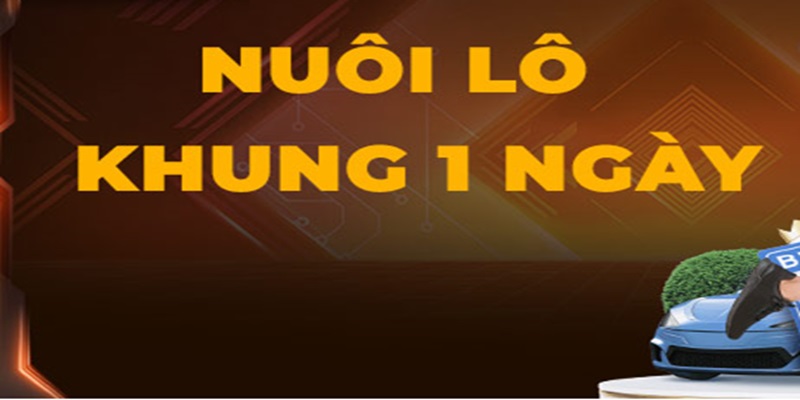 Cân nhắc khi chọn vốn nuôi khung