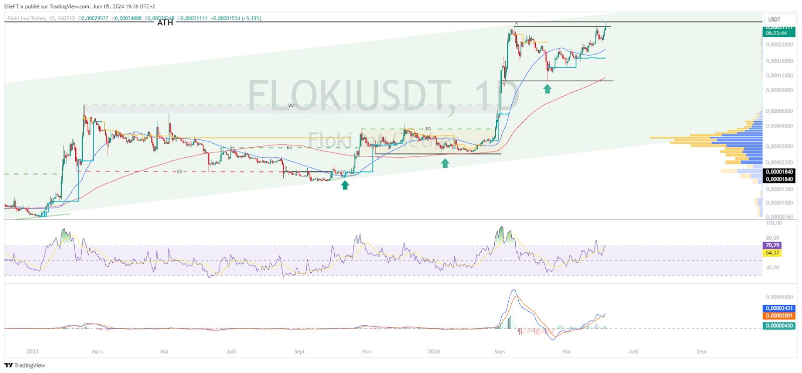 Ημερήσιο διάγραμμα τιμών FLOKI/USD