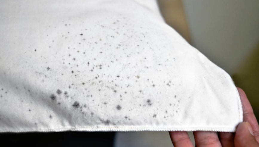 how to get mold stains out of clothes