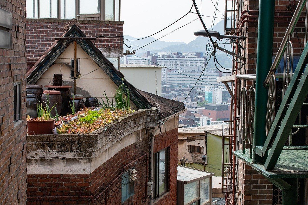 A rooftop garden on a building

Description automatically generated