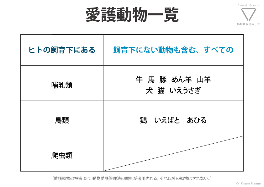 愛護動物の分類と一覧