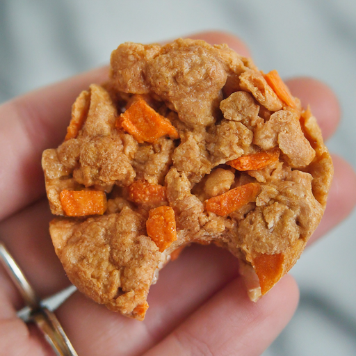 best Healthy Dog Treat Recipes