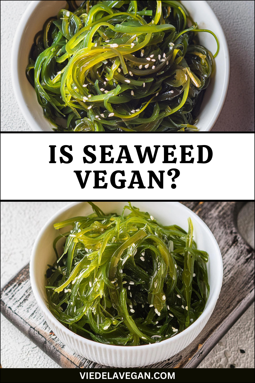 is seaweed vegan