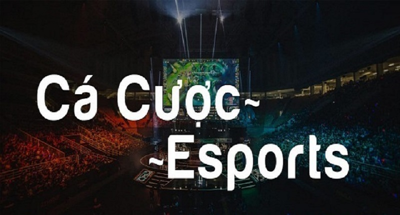 TA88 - Nền tảng cá cược Esports uy tín
