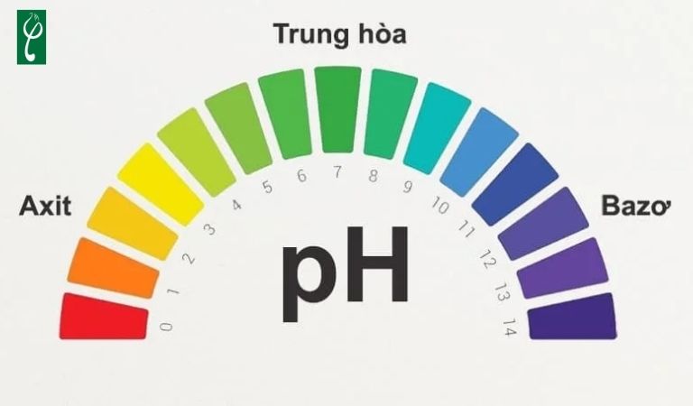 Phụ nữ mang thai nên sử dụng sữa rửa mặt có pH nhỏ hơn 6