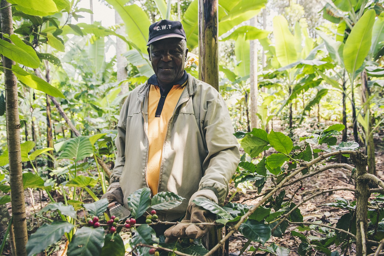 a man standing in a forest