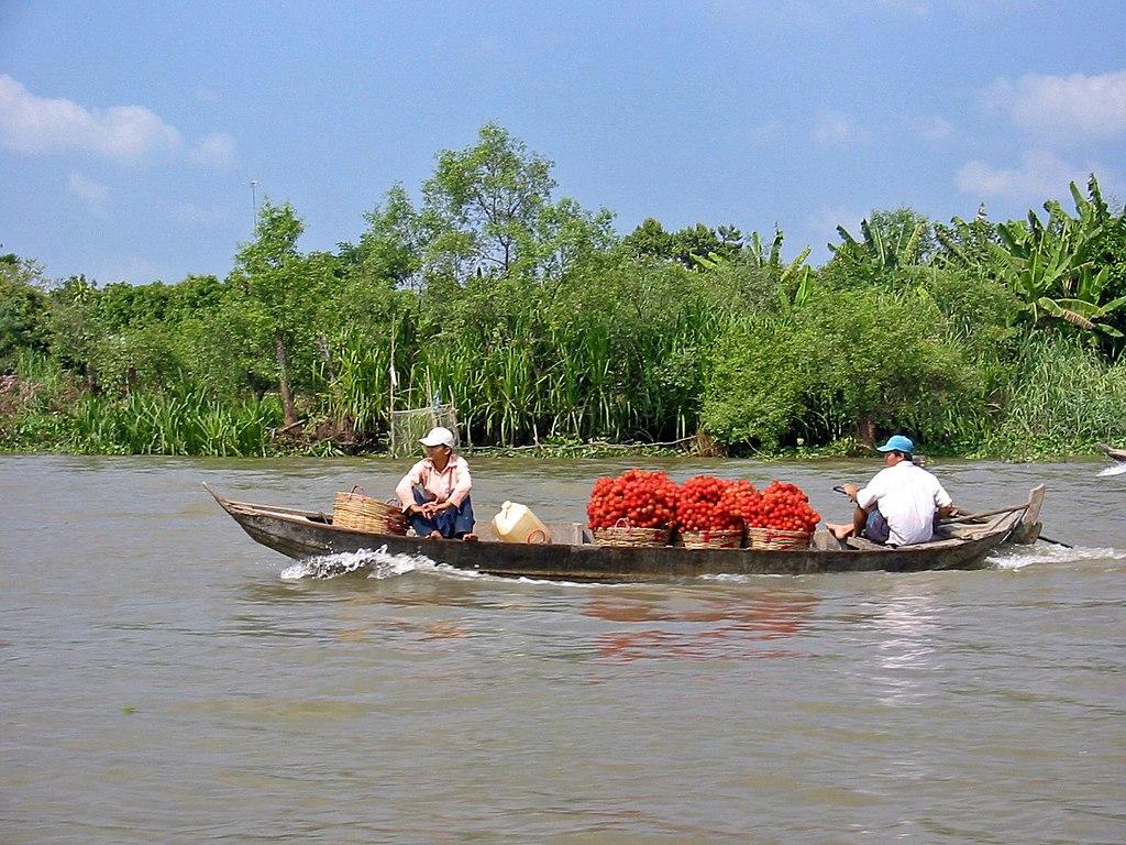 https://diendantheky.net/wp-content/uploads/2024/06/Mekong_Delta_Vietnam1.jpg