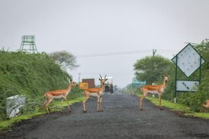 Dinesh khunt International fame gujarat photographer National geography 