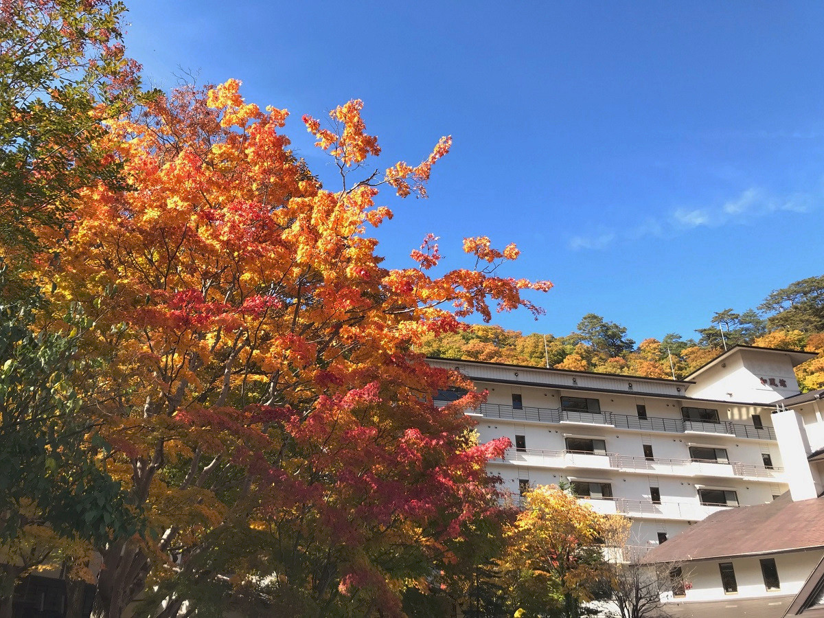 ホテル湯西川の外観写真