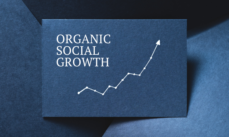 How to Grow your Social Media Presence Organically - Hype