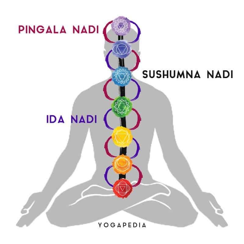 diagram of Nadi Shodhana/Anuloma Vyloma pranayama