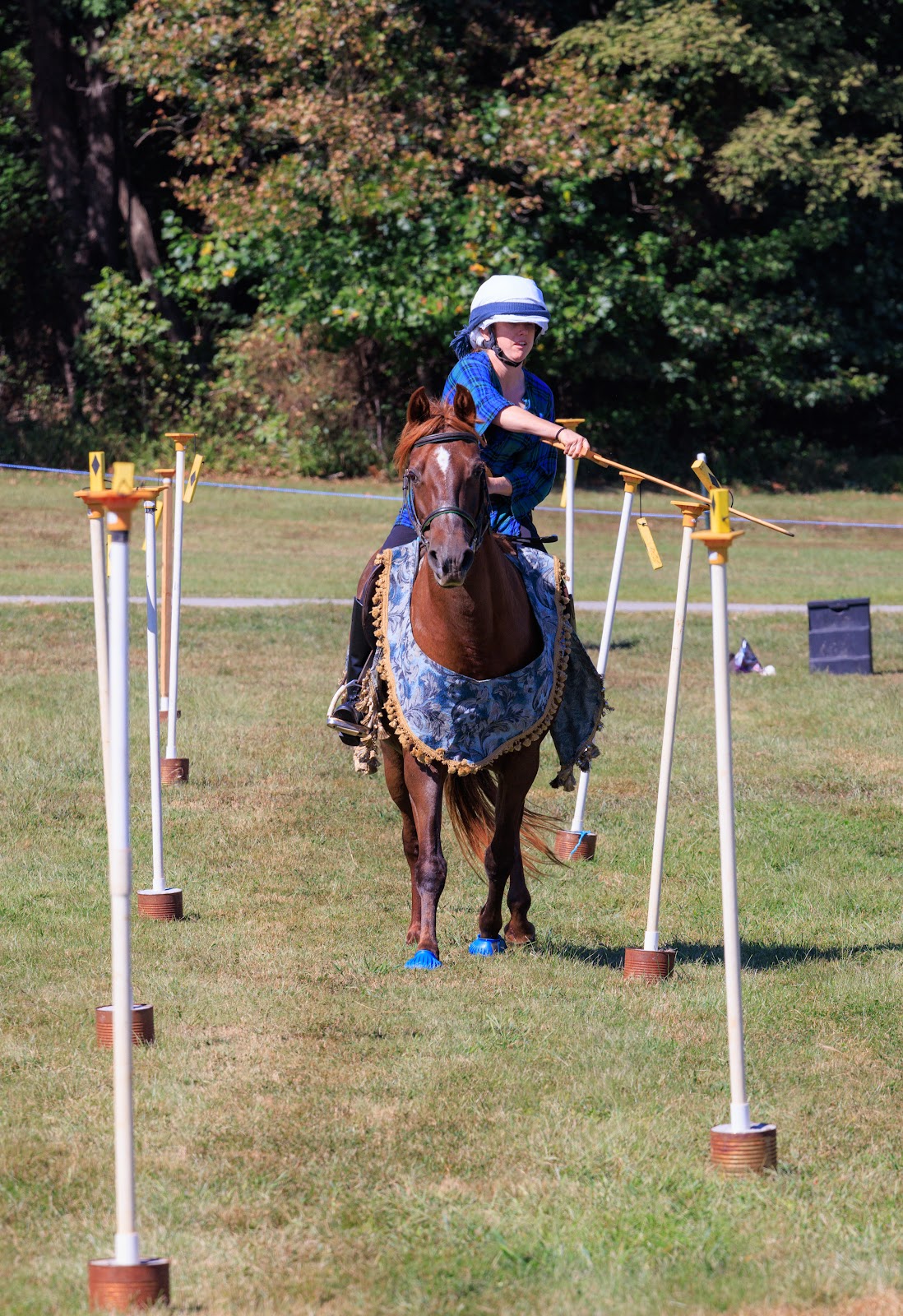 [A horseback rider in a blue and green plaid plaid tunic rides a chestnut pony towards the camera. The rider is swinging a wooden sword, knocking down yellow and black targets on white stands which create an alley towards the viewer. ]