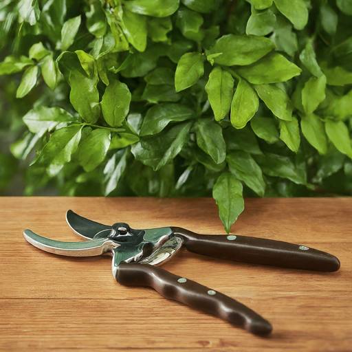 Pruning Perks: Encouraging Growth and Blooms with Strategic Snips