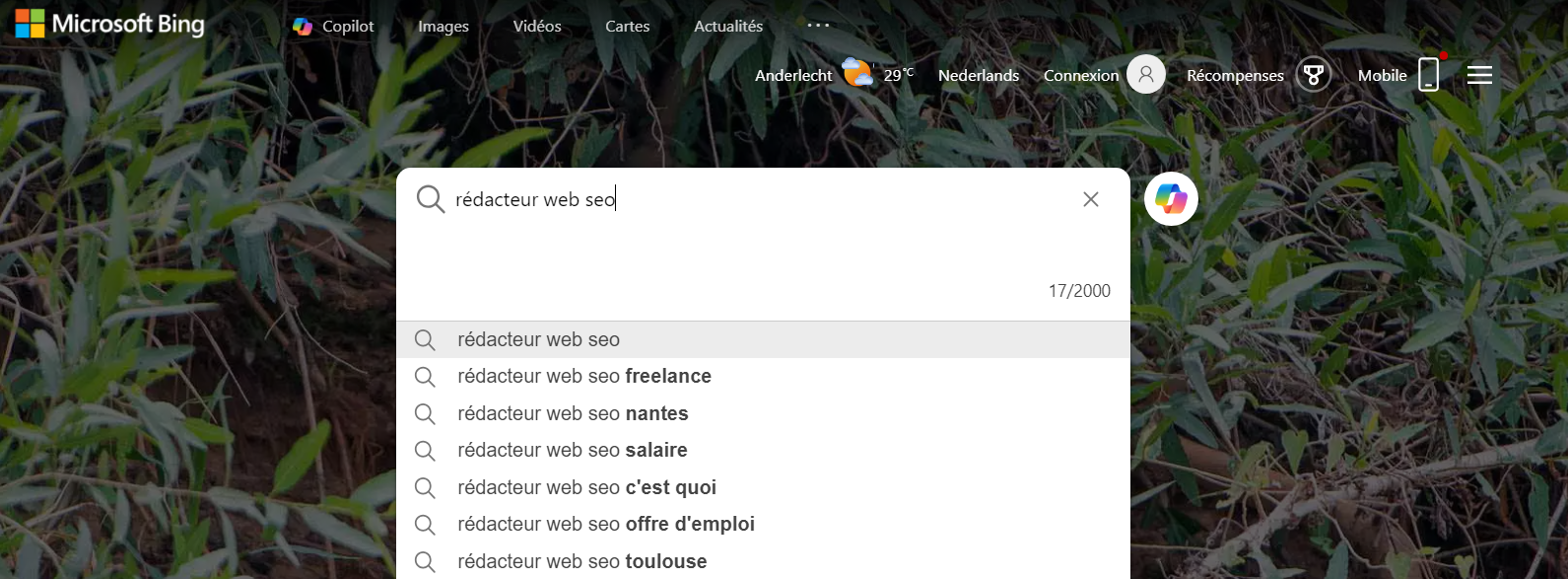 barre de recherche du moteur bing