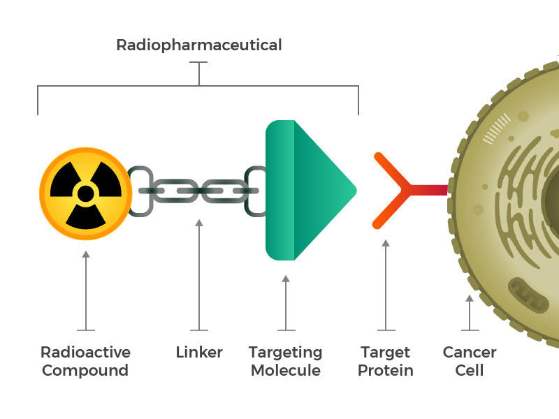 Radiopharmaceuticals: