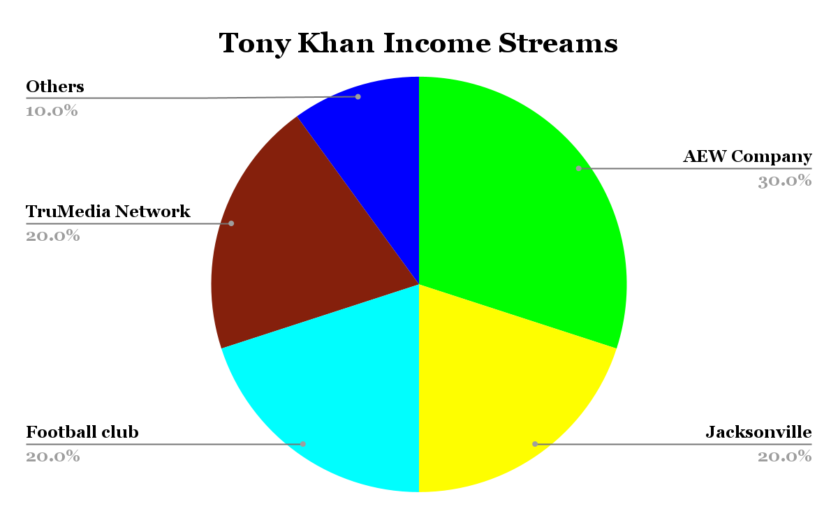 Tony Khan Income Streams