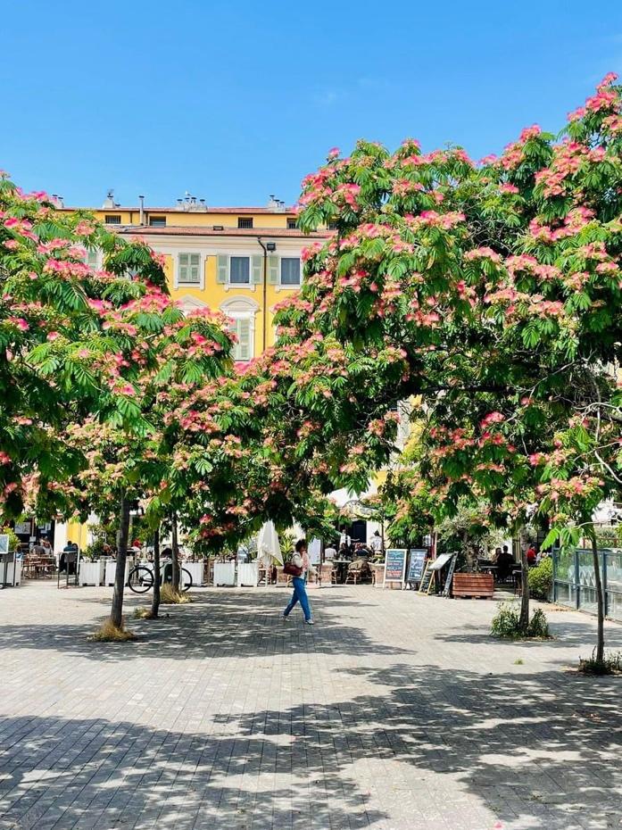 A person walking on a sidewalk with trees and flowers

Description automatically generated