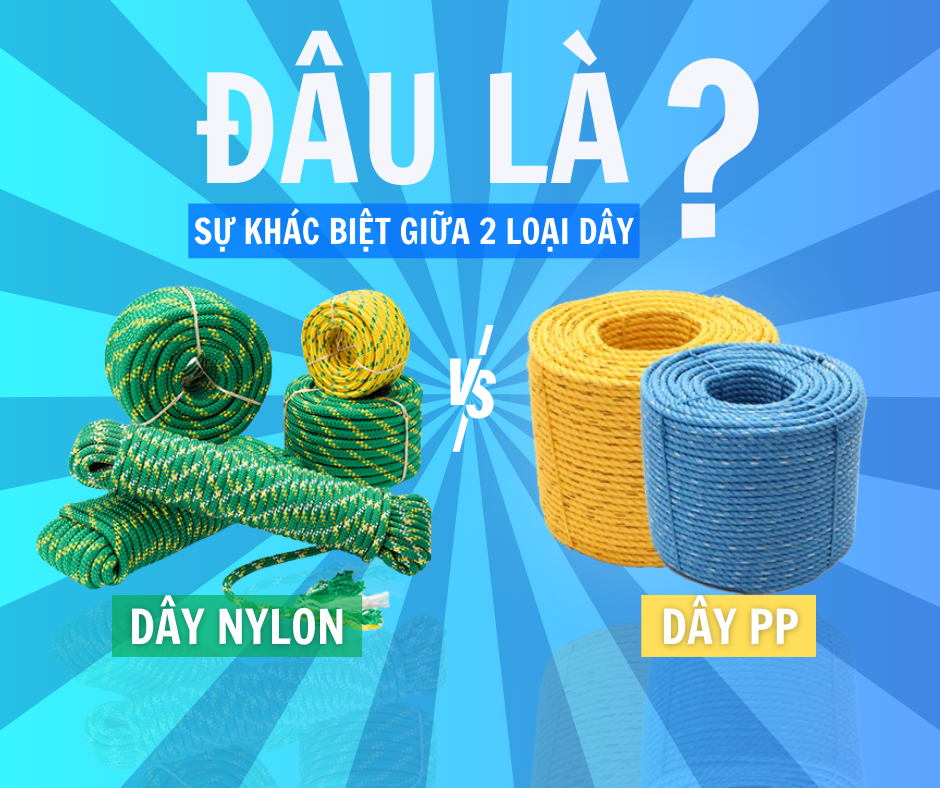 Sự Khác Biệt Giữa Dây PP và Dây Nylon?