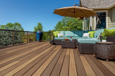 deck designs to create a pet friendly outdoor living space cat standing on composite decking with railing and furniture custom built michigan