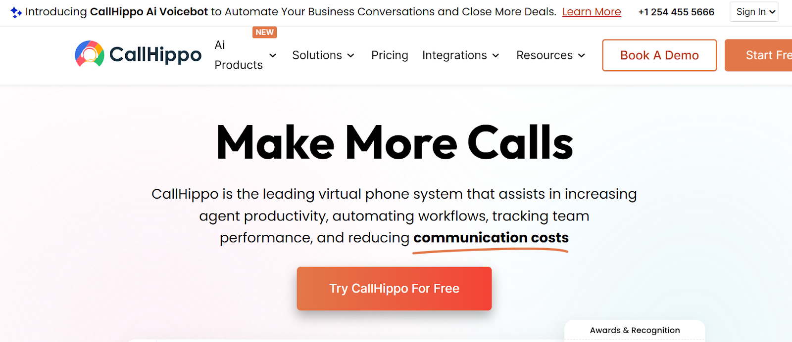 CallHippo website snapshot highlighting the services it offers.