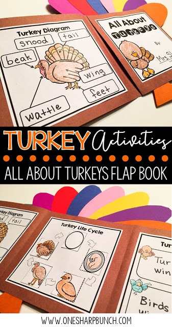 FREE turkey life cycle activities, including pocket chart sentences. Perfect for Thanksgiving centers and turkey time! Keep your kiddos engaged with these turkey activities, adorable turkey crafts and turkey centers!