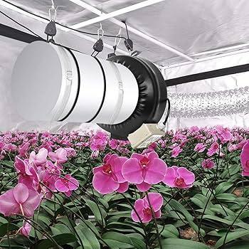 Carbon Filter in a Grow Room