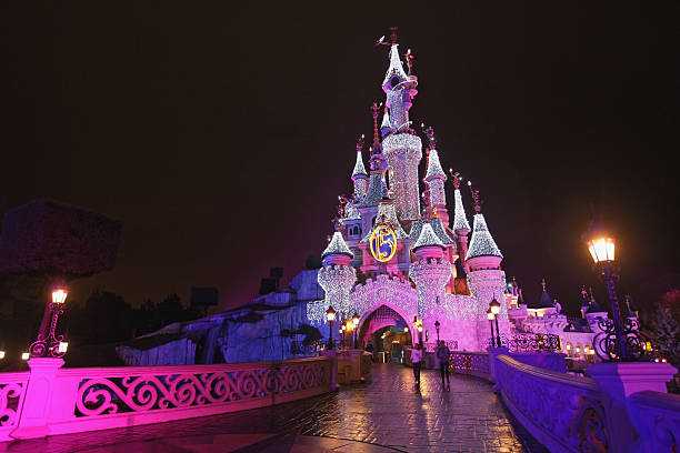 Disneyland Paris is one of the best tourist destinations in the world
