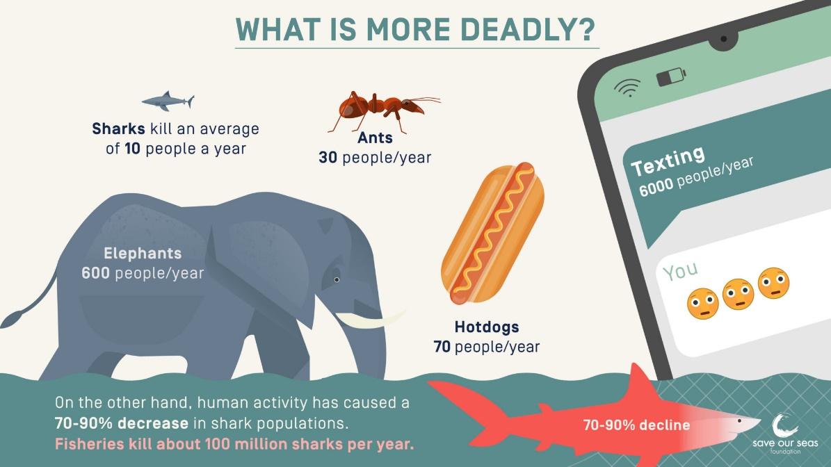 A poster with an elephant and hot dog

Description automatically generated