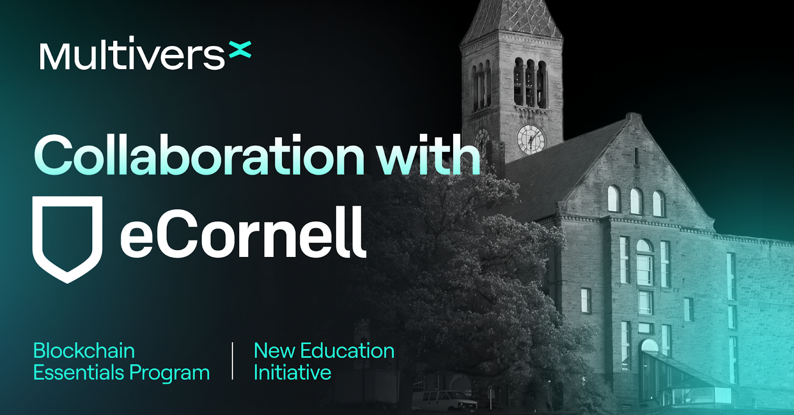 MultiversX Partners with eCornell University for a Blockchain Education Project