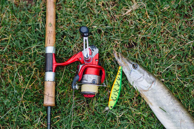 Enhancing Your Home’s Curb Appeal and Functionality