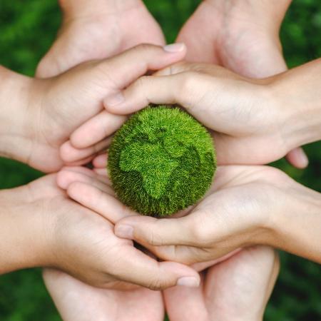 Mão segurando pedaço de planta verde

Descrição gerada automaticamente