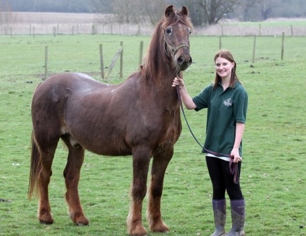 Shane with a volunteer. Source: Daily Mail