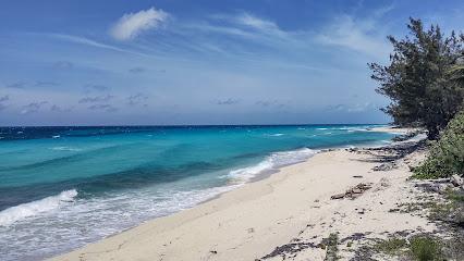 bimini islands