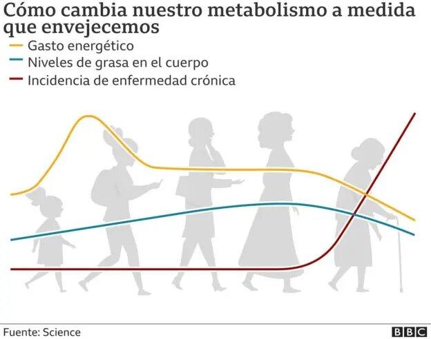 metabolismo celular según  una investigación en Science