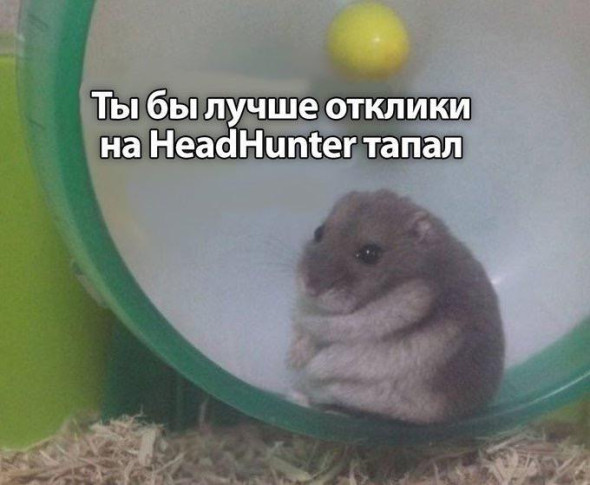 Мем про Hamster Kombat