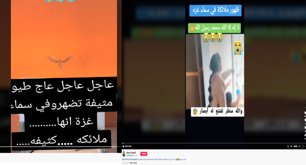 مقطع فيديو لظهور طيور "ملائكة" بشكل مفاجئ في سماء قطاع غزة