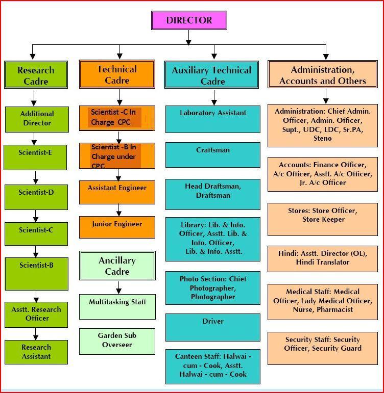 https://cwprs.gov.in/WriteReadData/image/org%20charg-2019/org%20charte%20new.JPG