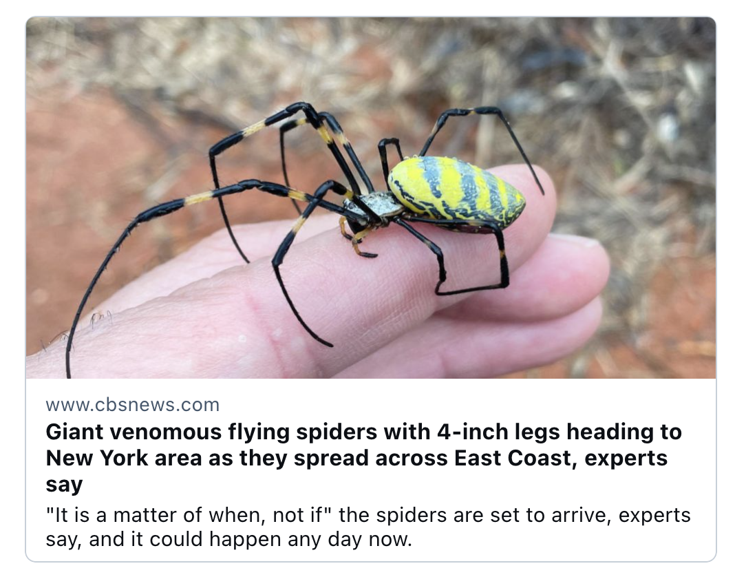 Giant venomous flying spiders with 4-inch legs heading to New York area as they spread across East Coast, experts say