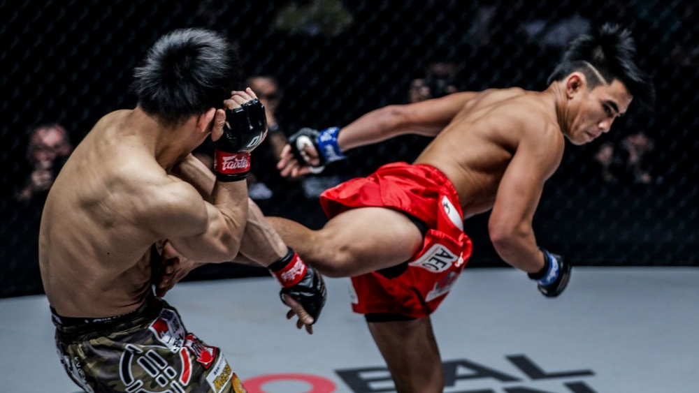 Advanced Muay Thai Moves - Spinning Back Kick