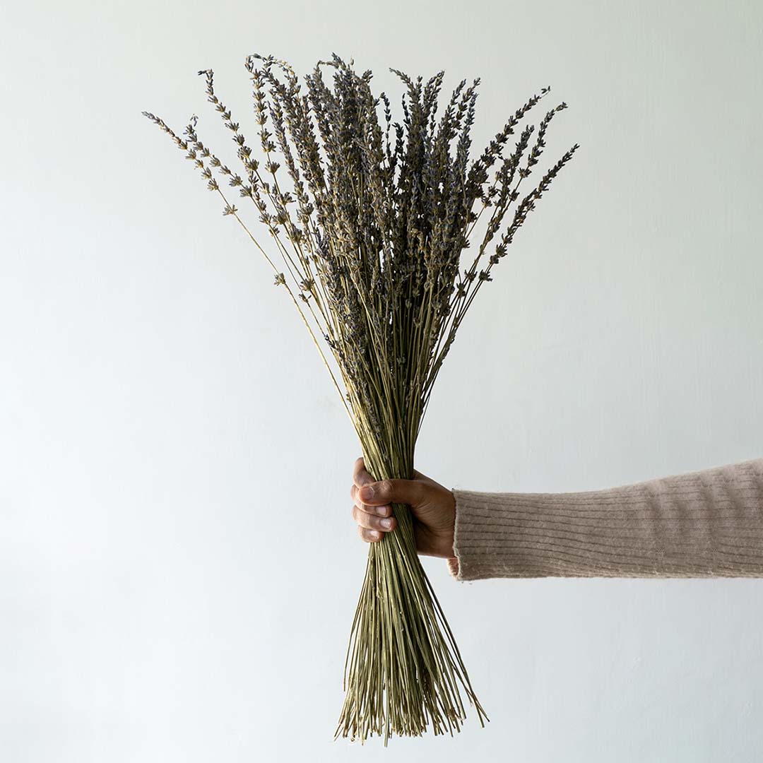 Dried Lavender