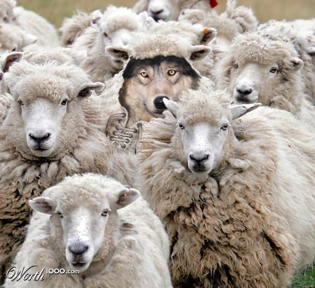 Sheep In Wolf's Clothing – theencouragingword
