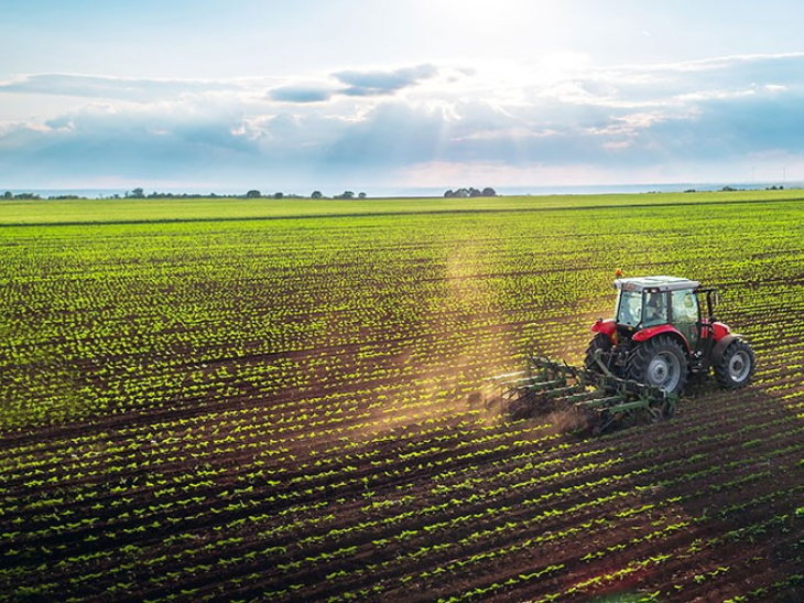 Dolomite in agriculture industry