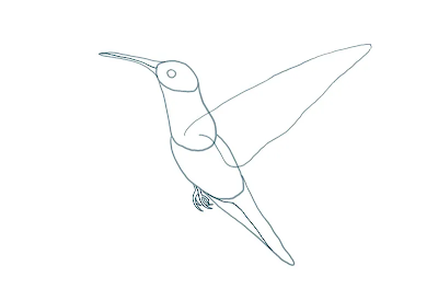 HOW TO DRAW A HUMMINGBIRD STEP-BY-STEP GUIDE