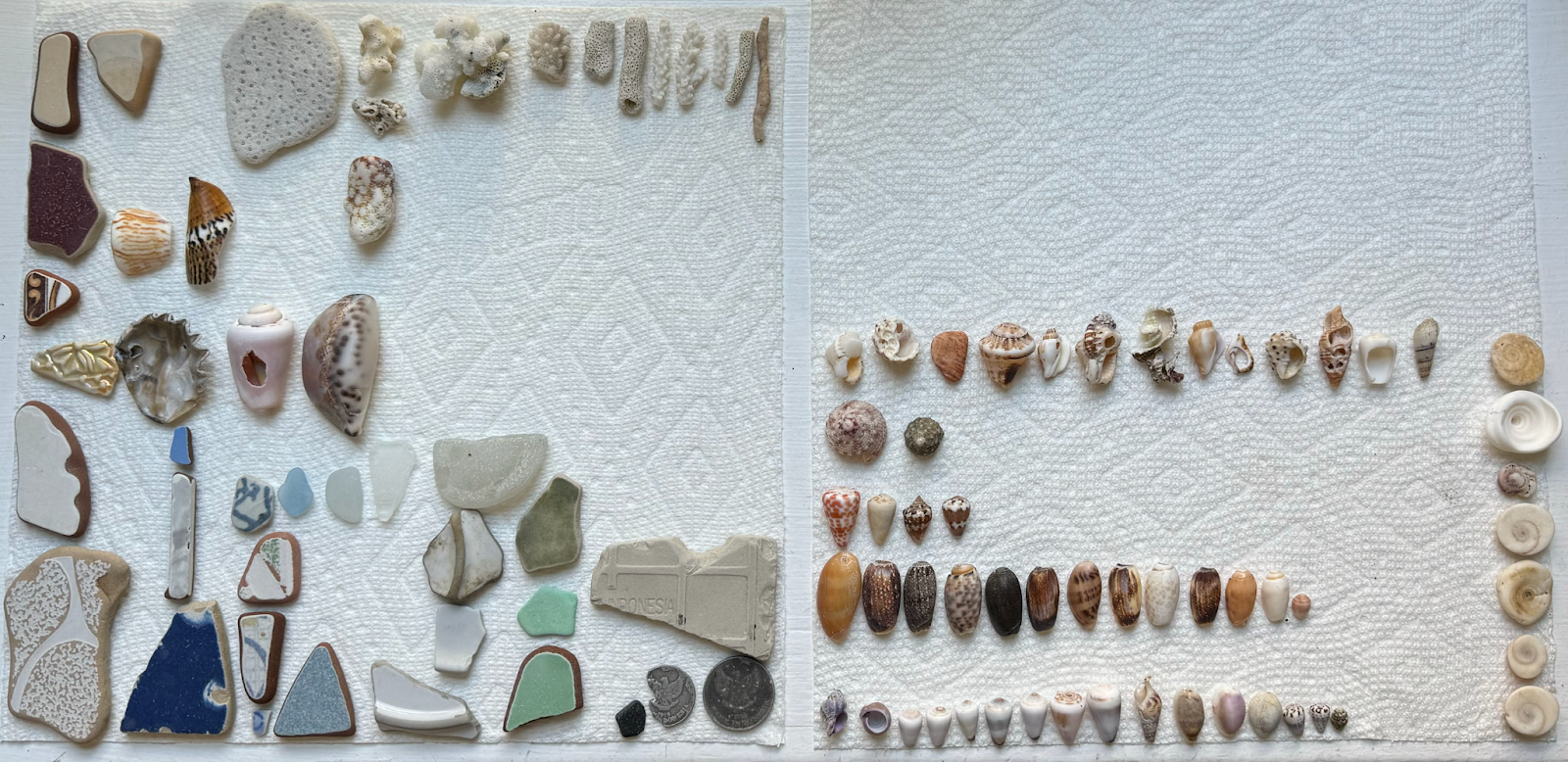 Image of shells, sea ceramics, sea glass, coins, and corals found on the beach in Amed. 