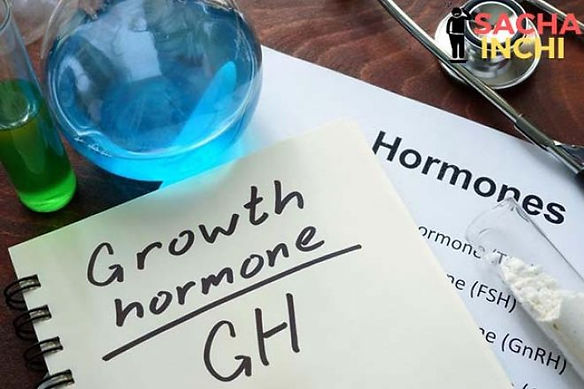 Vận động làm tăng tiết hormone tăng trưởng GH